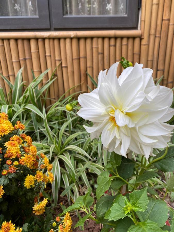 Trang An Moon Garden Homestay Ninh Binh Eksteriør bilde